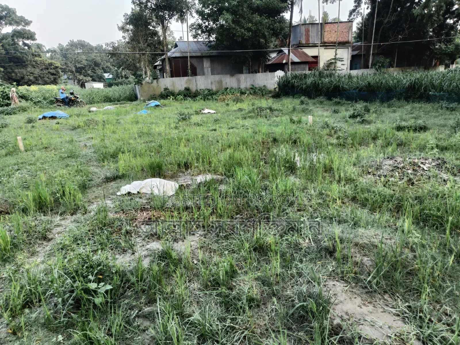 প্লট আকারে জমি বিক্রি হবে