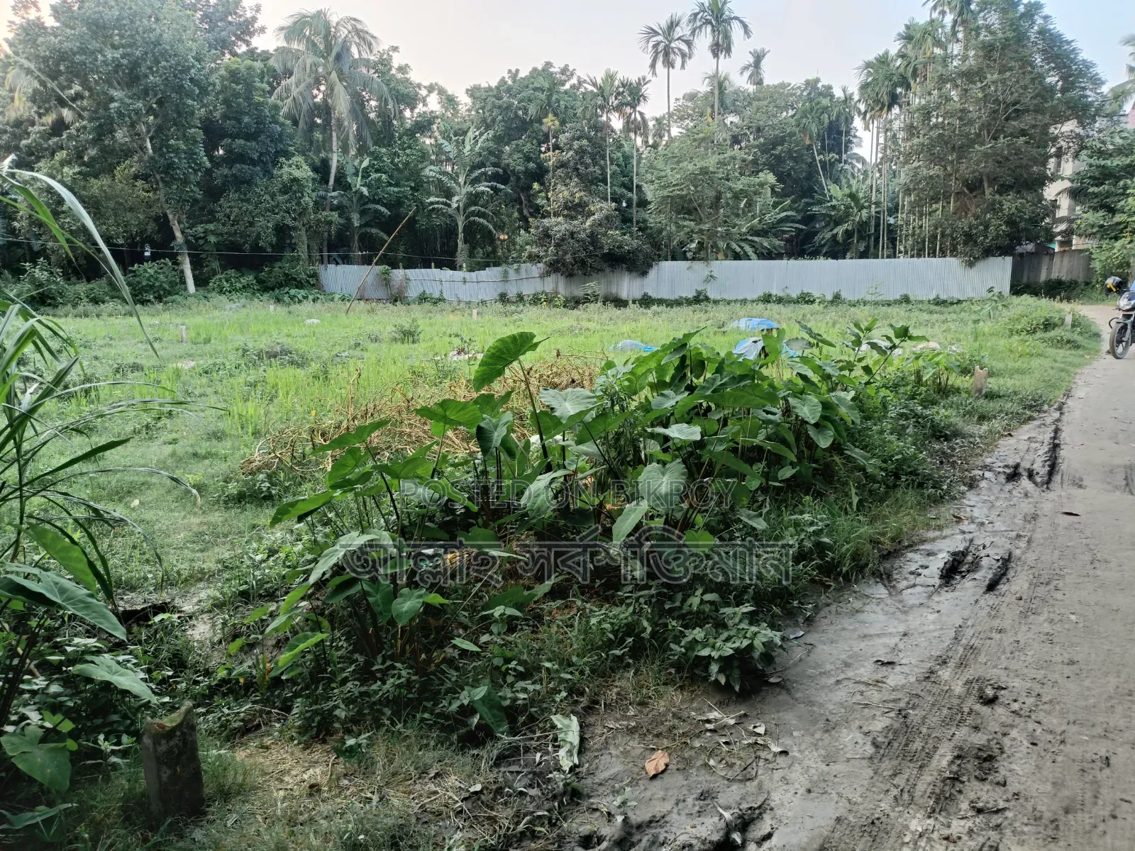 প্লট আকারে জমি বিক্রি হবে
