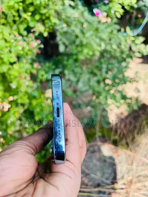 Apple iPhone 13 Pro Max 256 GB