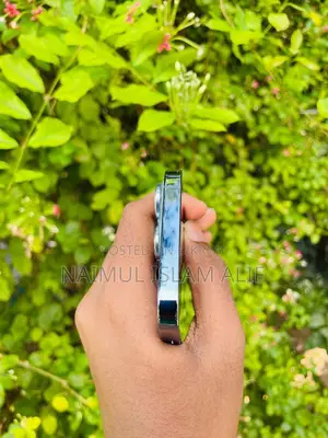 Apple iPhone 13 Pro Max 256 GB