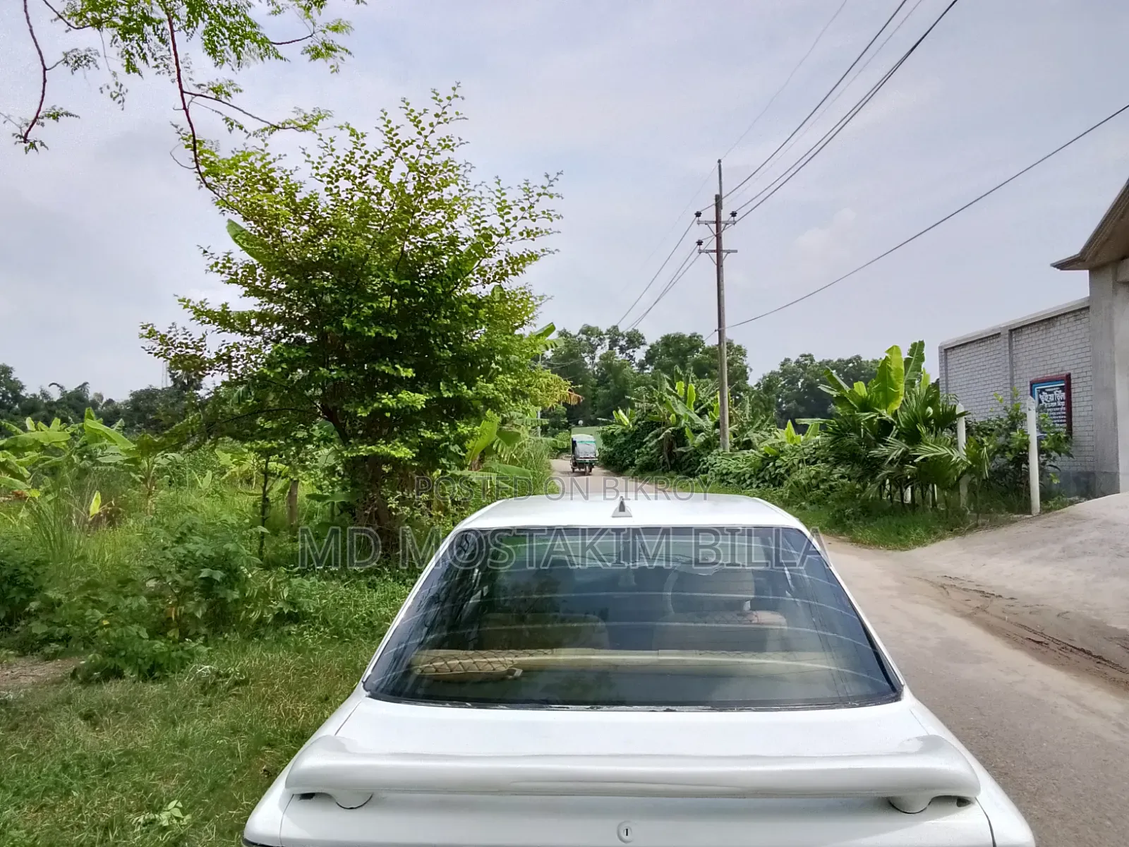 Toyota Corolla 1997 White