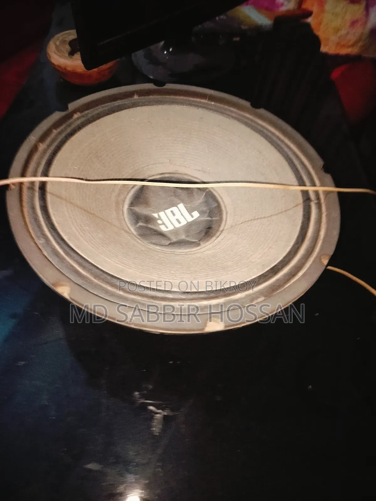 12" Speaker