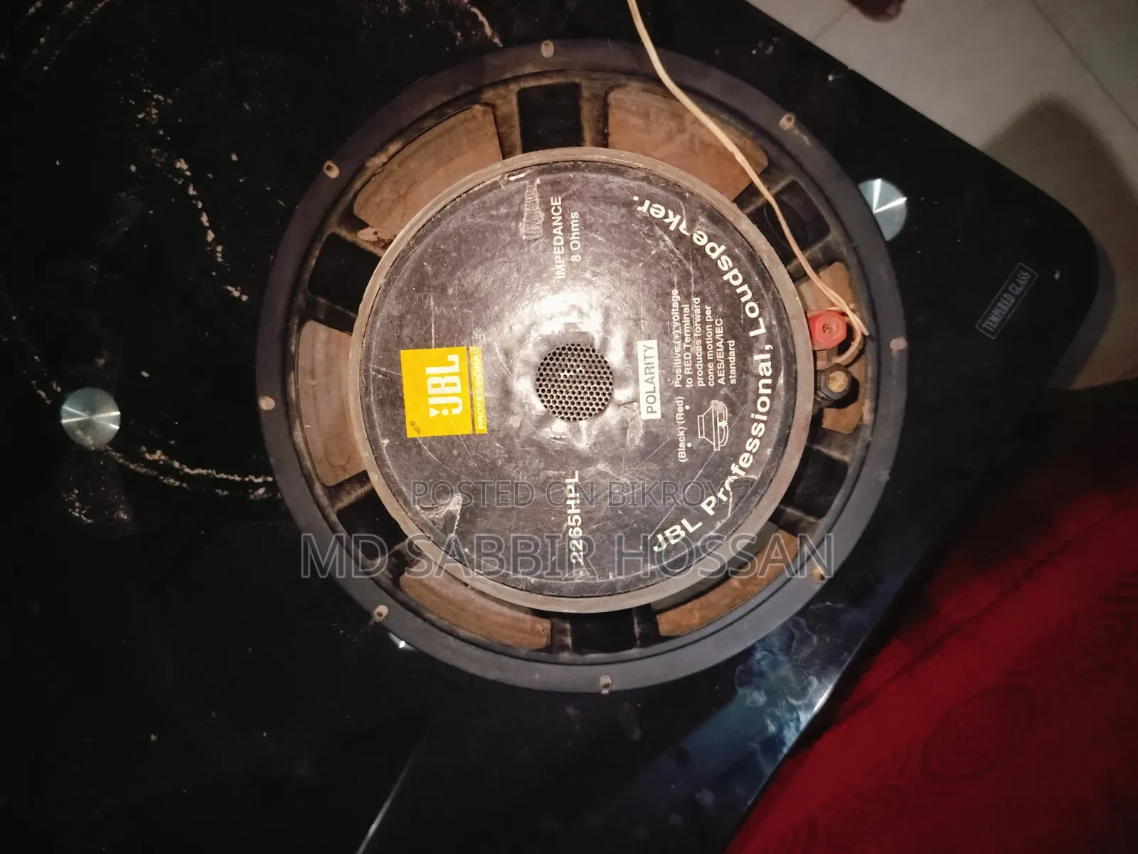 12" Speaker