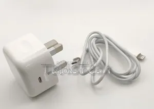 Appel Original Charger