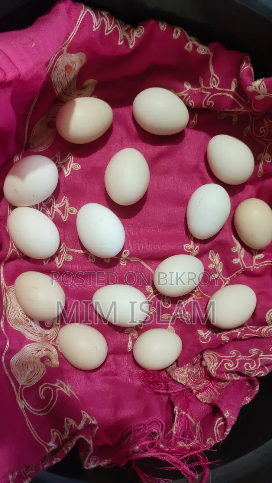 কলম্বিয়ান বাফ ব্রাহমার বীজ ডিম সেল হবে