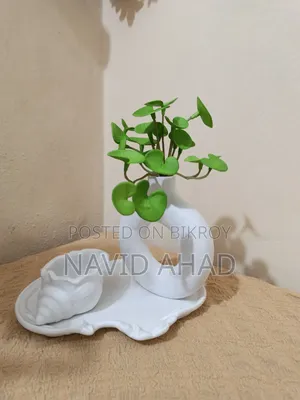 Zypsam Showpiece