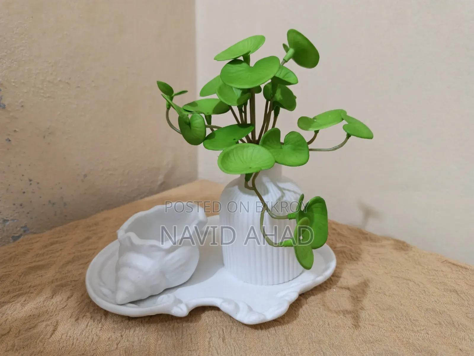 Zypsam Showpiece