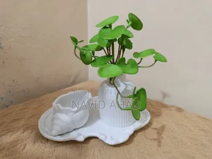 Zypsam Showpiece