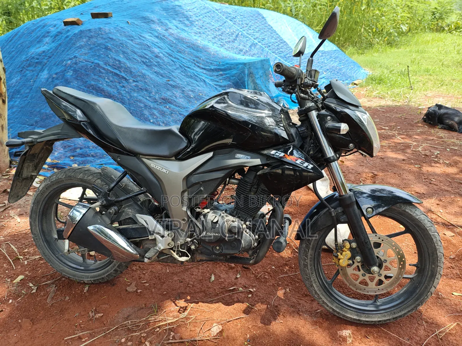 Suzuki Gixxer Monotone 2024 Black