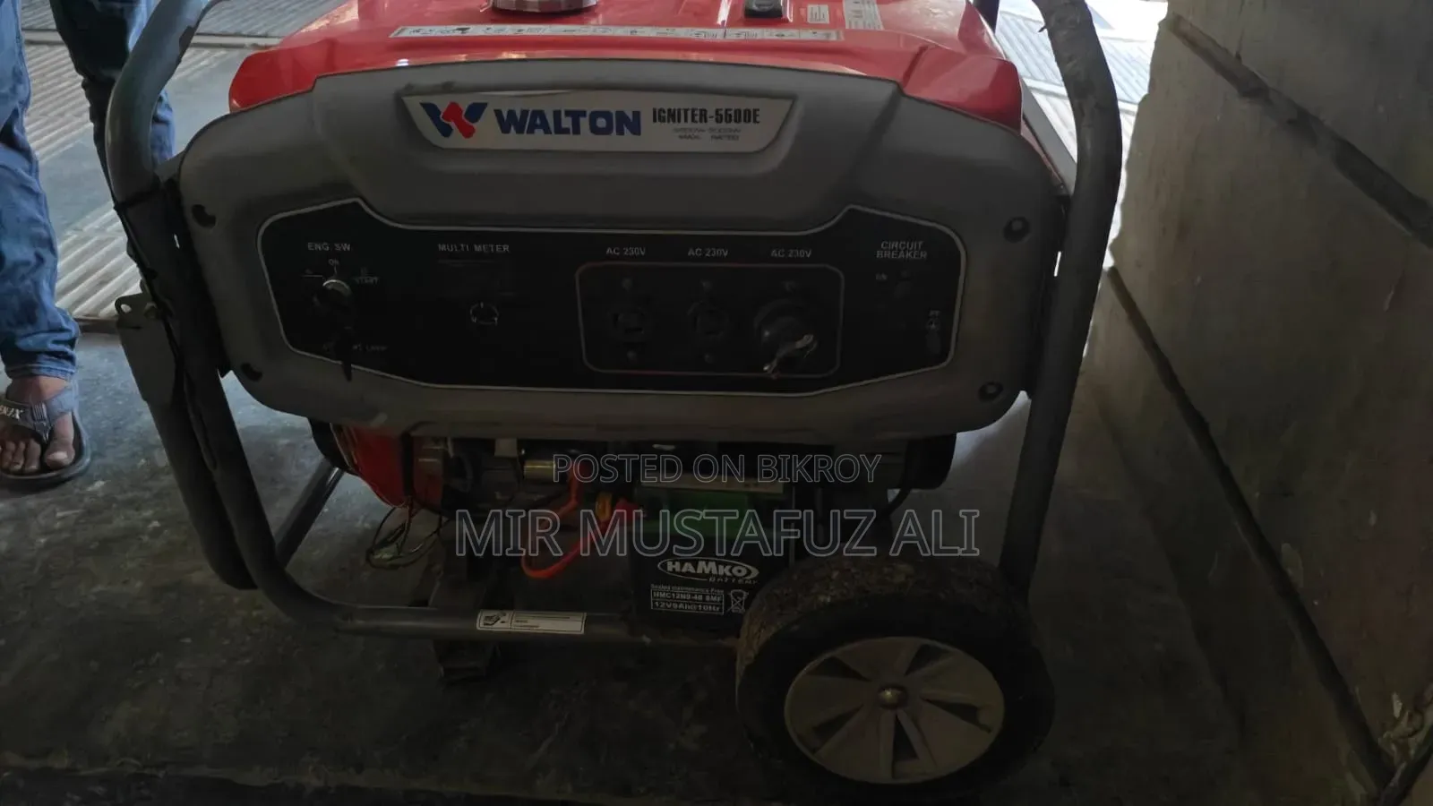 Walton Igniter - 5500e Generator