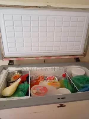 Walton Freezer