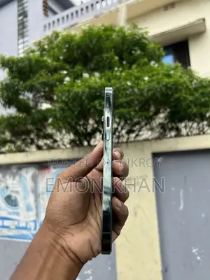 Apple iPhone 13 Pro Max 256 GB Green