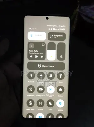 Xiaomi 14 Pro 256 GB Gray