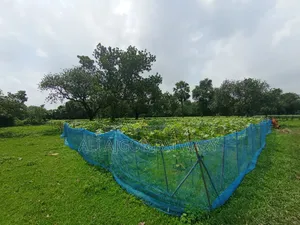 জমি বিক্রি হবে নামমাত্র মূল্যে ইমারজেন্সি