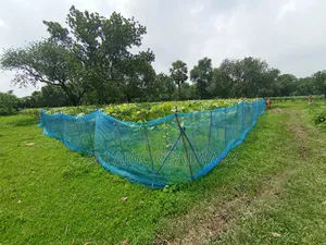 জমি বিক্রি হবে নামমাত্র মূল্যে ইমারজেন্সি