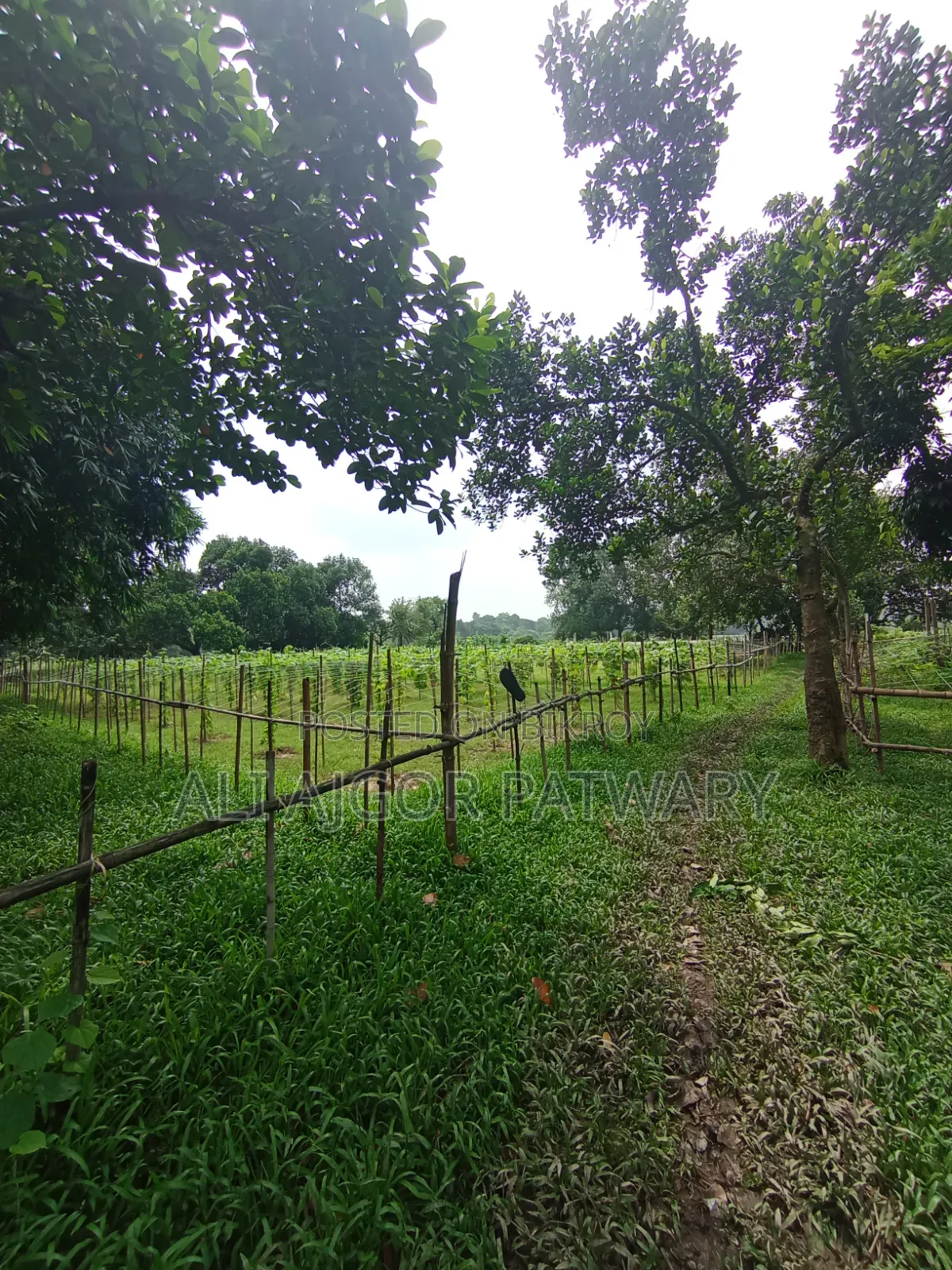 জমি বিক্রি হবে নামমাত্র মূল্যে ইমারজেন্সি