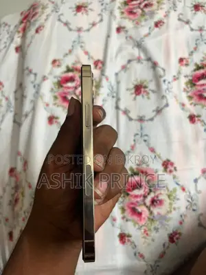 Apple iPhone 12 Pro Max 256 GB Gold