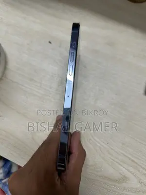 Apple iPhone 13 Pro Max 256 GB Blue