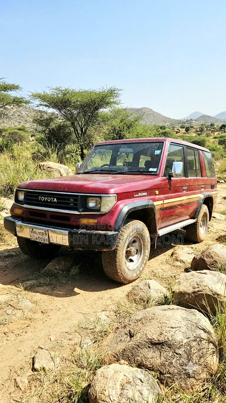 Toyota Land Cruiser 1996 Red