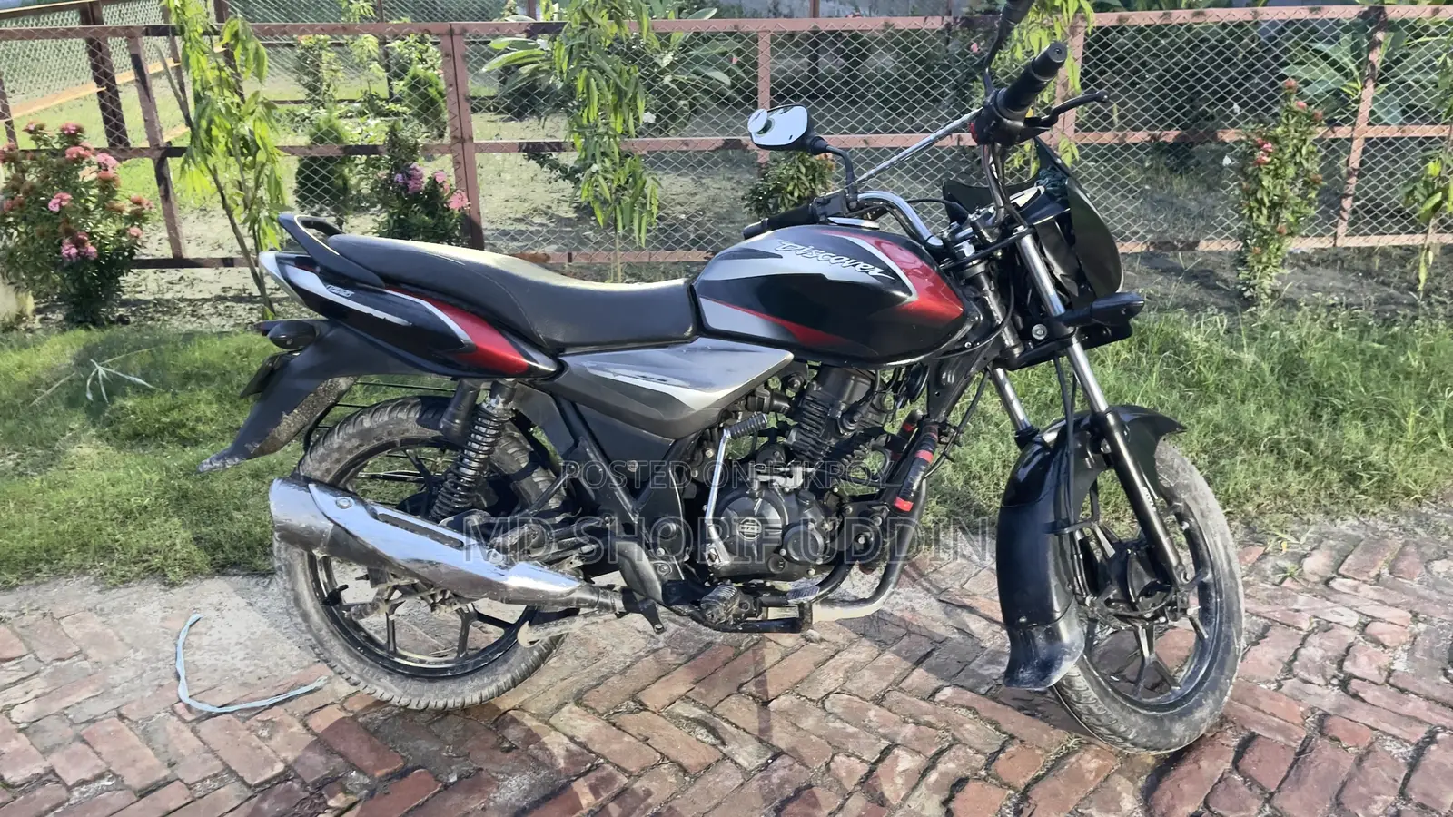 Bajaj Discover 125 2019 Black