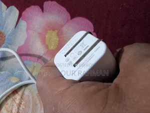 ২০ ওয়াট চার্জার এবং ক্যাবল