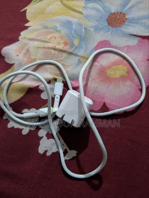 ২০ ওয়াট চার্জার এবং ক্যাবল