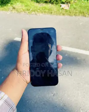 অ্যাপল আইফোন ১২ প্রো ম্যাক্স ১২৮ জিবি ব্লু