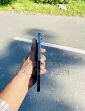 অ্যাপল আইফোন ১২ প্রো ম্যাক্স ১২৮ জিবি ব্লু