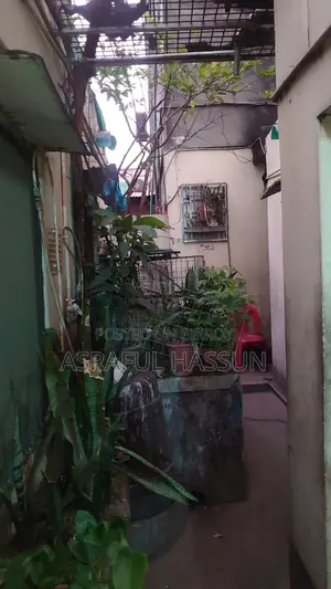 Bachelor/Seat Room Rent
