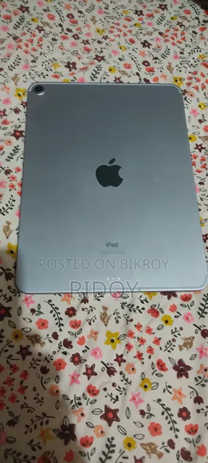 Apple iPad Wi-Fi 256 GB Blue