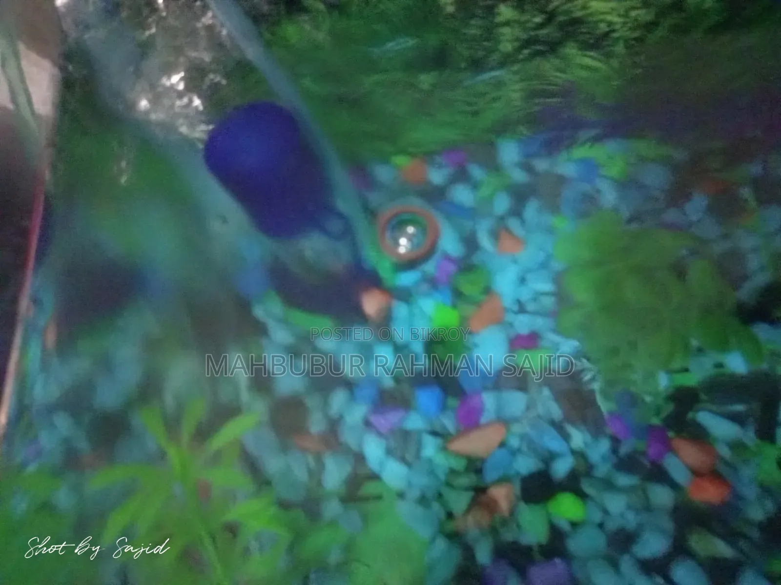 Aquarium Air Pump