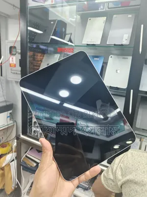 Apple iPad mini 7 256 GB Gray