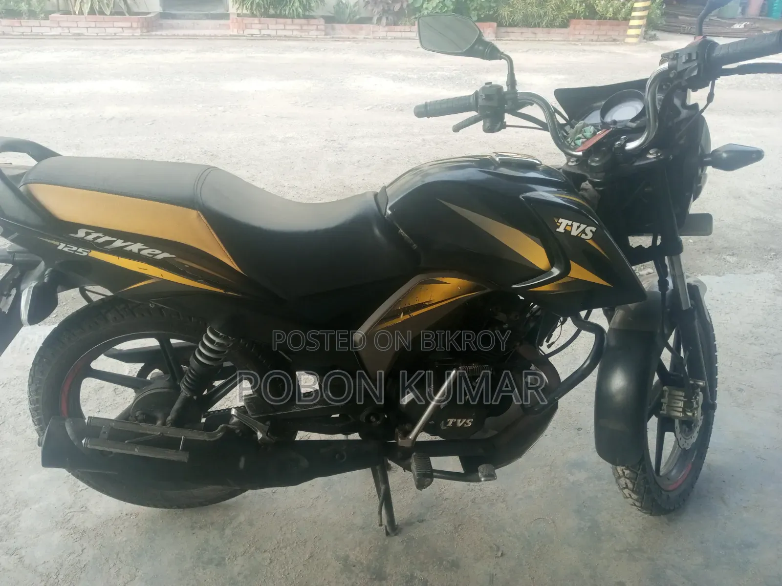 TVS Stryker 125 2019 Yellow