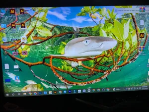 Desktop Computer 16GB AMD Ryzen 5 SSD 256GB