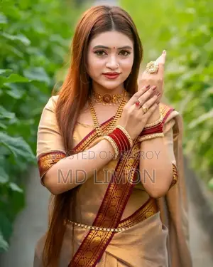 প্রিমিয়াম নকশি পাইর শাড়ি