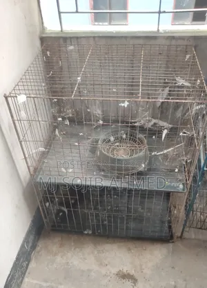 Pigeon Cage