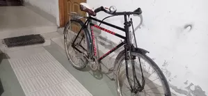 Phoenix Bicycle 28 Size