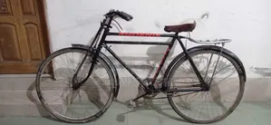 Phoenix Bicycle 28 Size