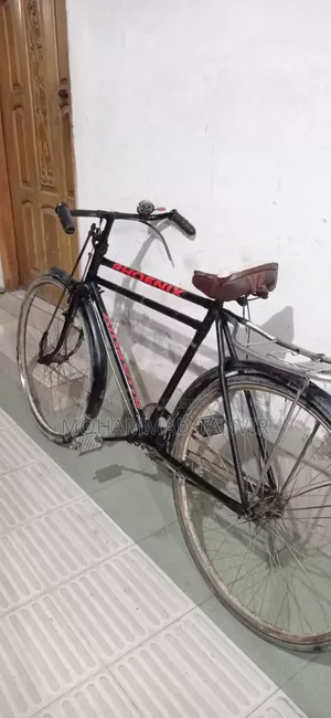 Phoenix Bicycle 28 Size