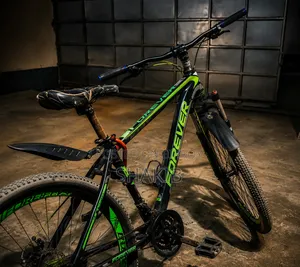 Bicycle for Sale