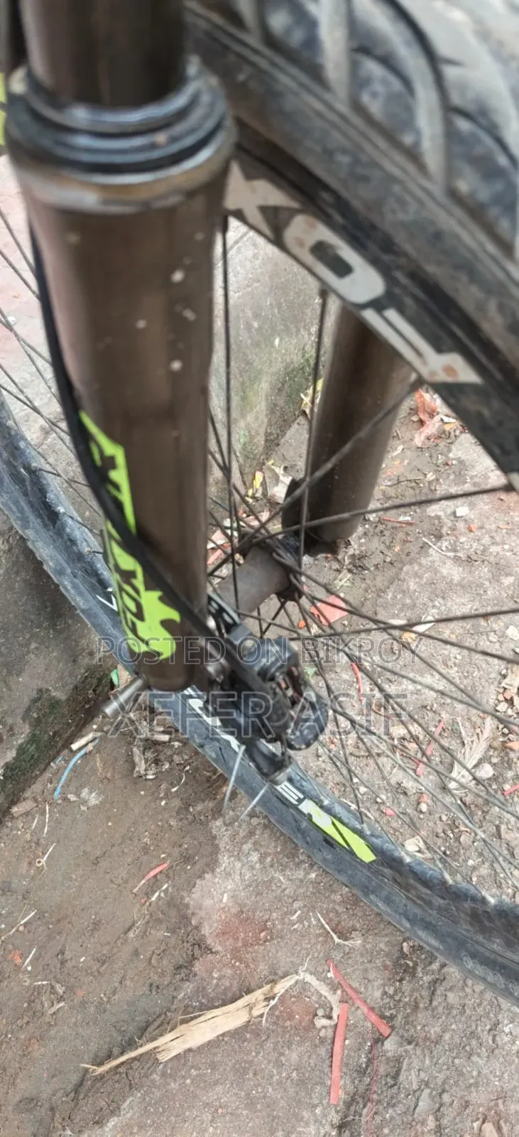 Foxter Cycle
