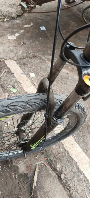 Foxter Cycle