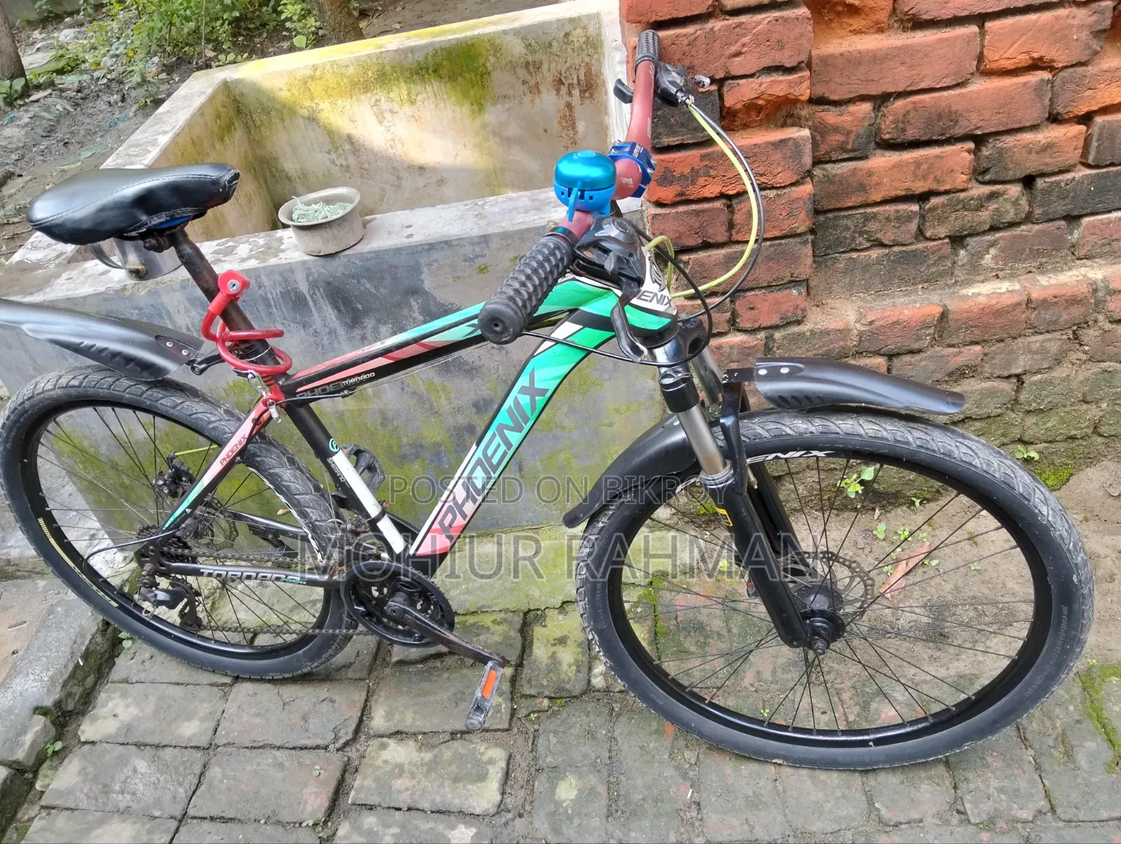 Phoenix Bicycle