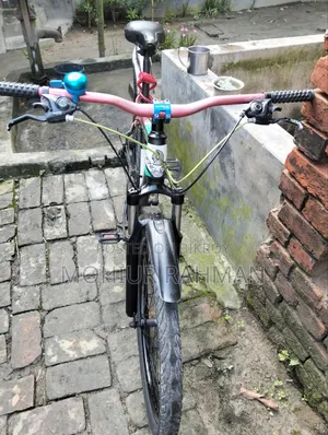 Phoenix Bicycle