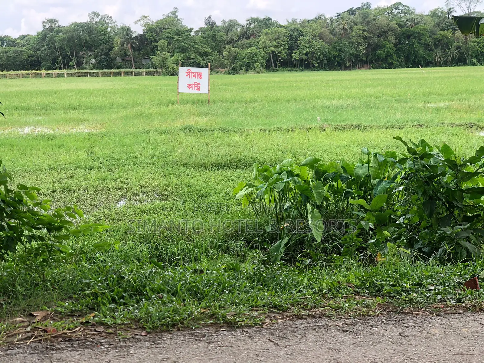 Premium Land for Sale
