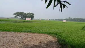 Premium Land for Sale