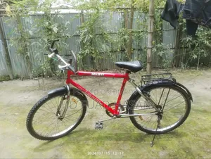 Phoenix bicycle for sale