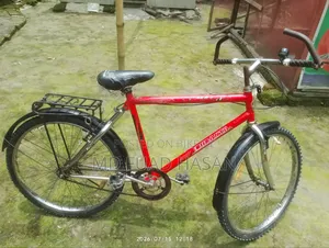 Phoenix bicycle for sale