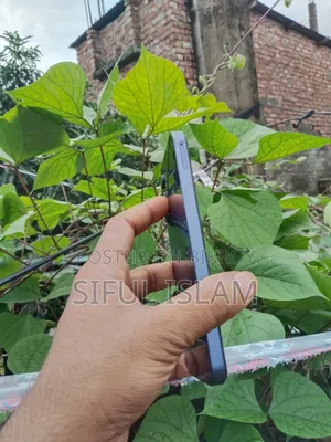 স্যামসাং গ্যালাক্সি এ১৫ ৫জি ১২৮ জিবি পার্পল