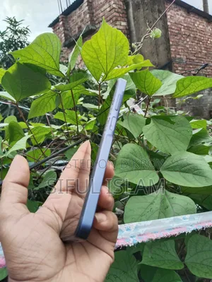 স্যামসাং গ্যালাক্সি এ১৫ ৫জি ১২৮ জিবি পার্পল
